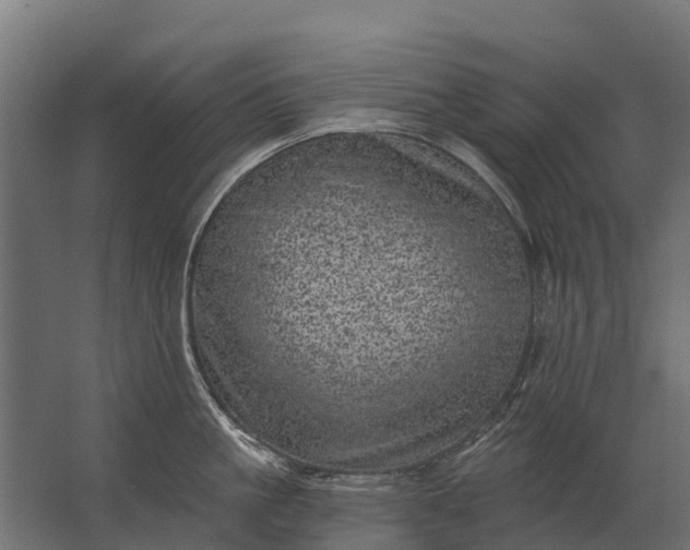 X0000062790861200512290221