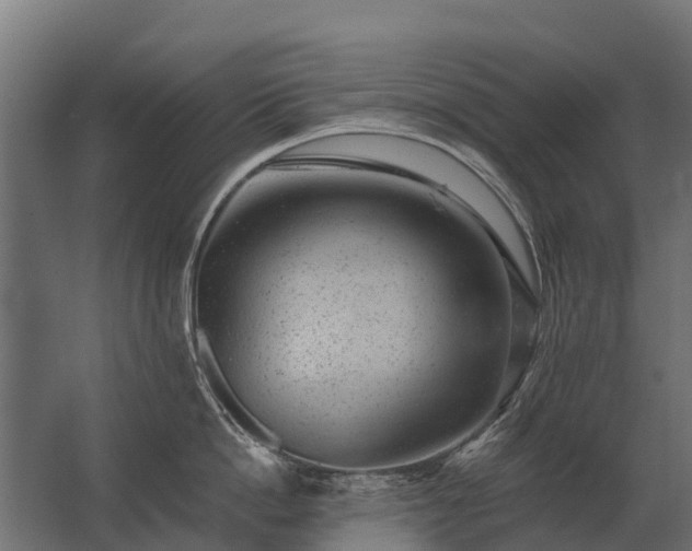 X0000062790862200512290221