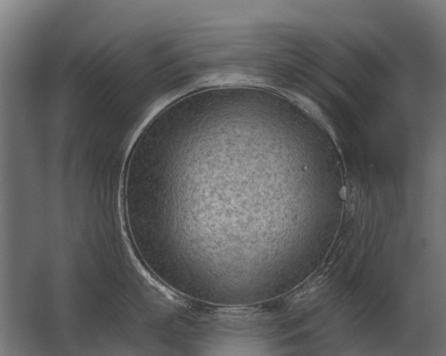 X0000062790863200512290221