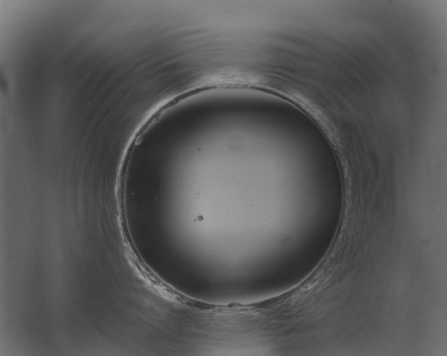 X0000062790864200512290221