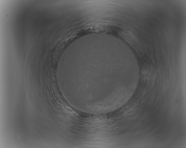 X0000062790865200512290220