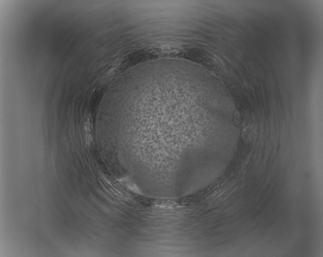 X0000062790866200512290220