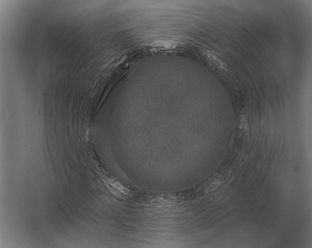 X0000062790868200512290220