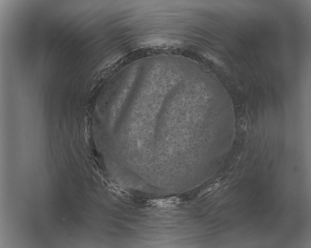 X0000062790869200512290220