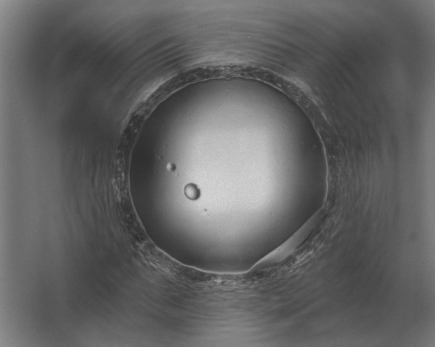 X0000062790871200512290220