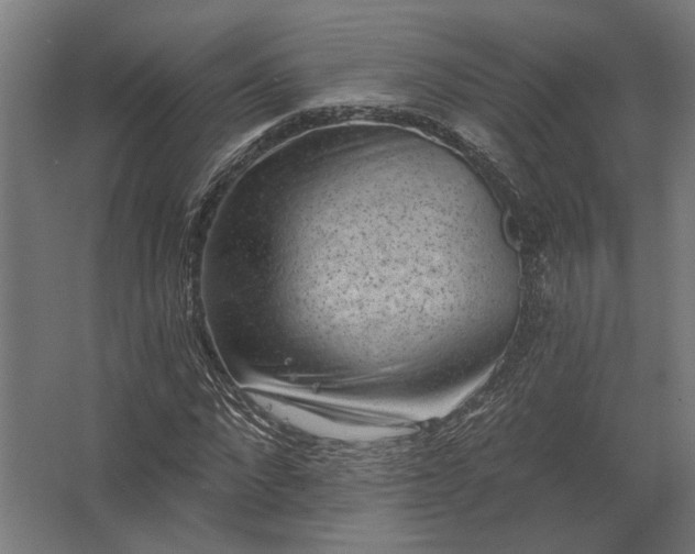 X0000062790872200512290220