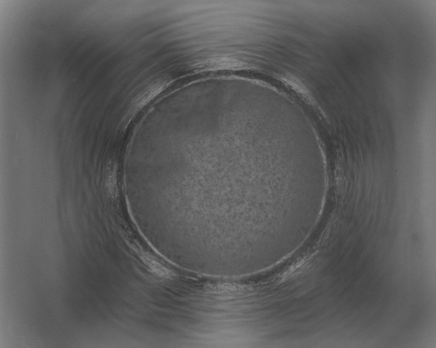 X0000062790873200512290220