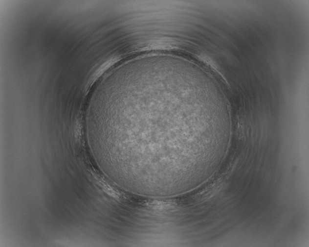 X0000062790874200512290220