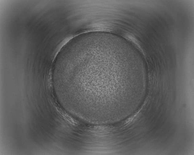 X0000062790875200512290220