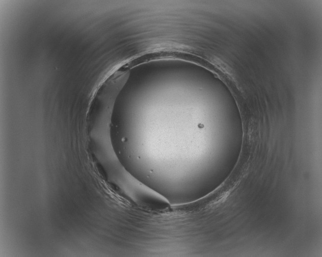 X0000062790877200512290220