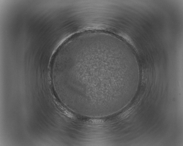 X0000062790878200512290220