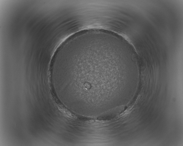 X0000062790879200512290220