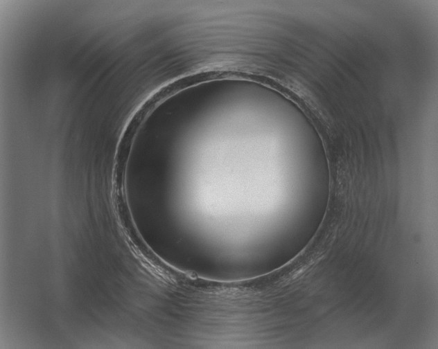 X0000062790880200512290220