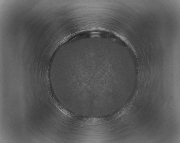 X0000062790881200512290220