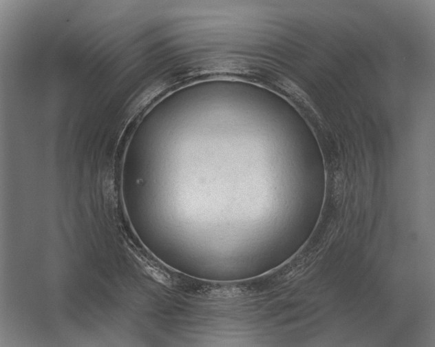 X0000062790882200512290220