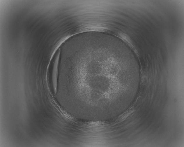 X0000062790883200512290220