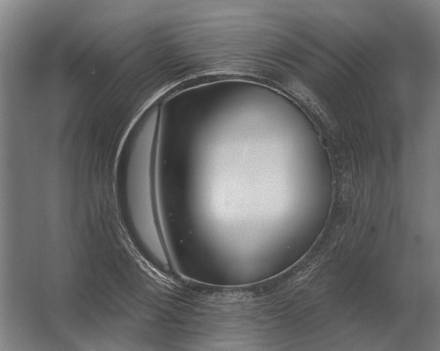 X0000062790884200512290220