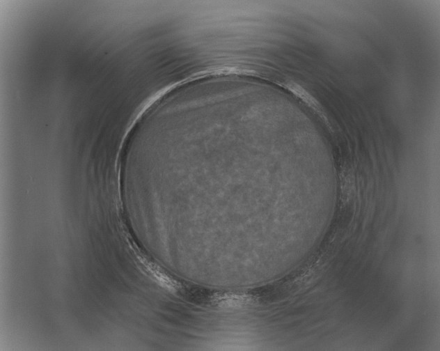 X0000062790886200512290220