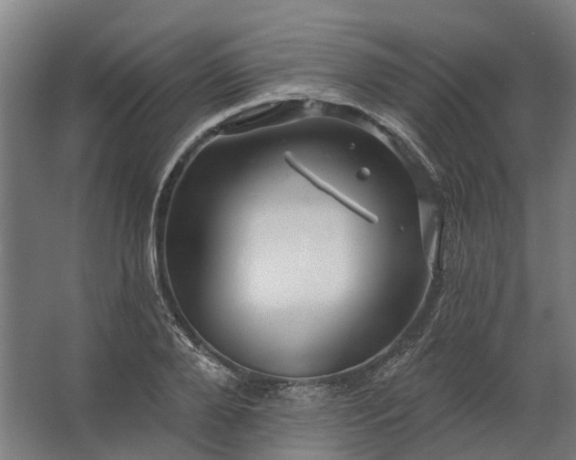 X0000062790888200512290220