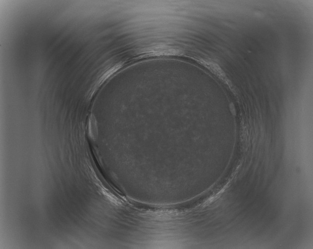 X0000062790889200512290220