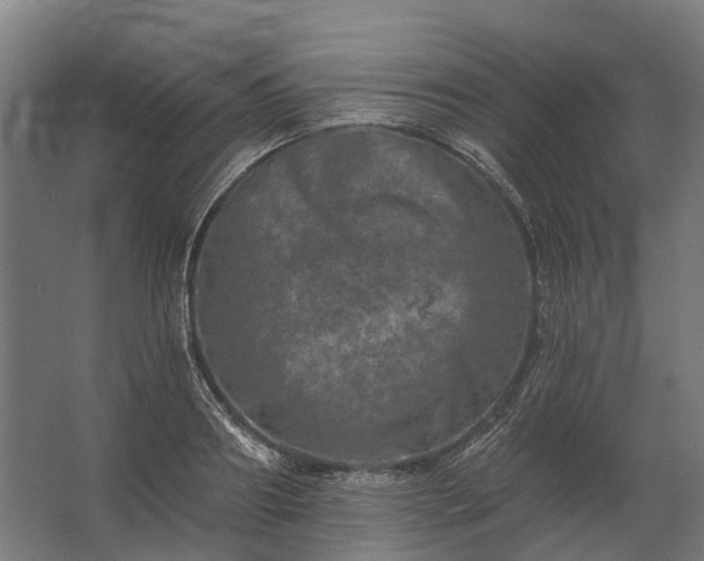 X0000062790890200512290220