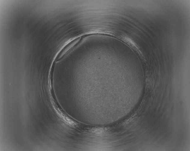 X0000062790892200512290220