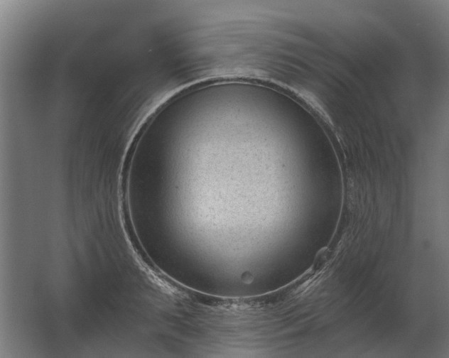 X0000062790895200512290219