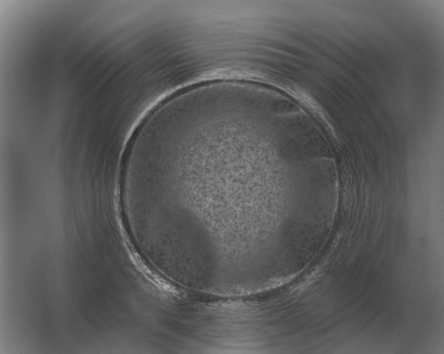 X0000062790896200512290219