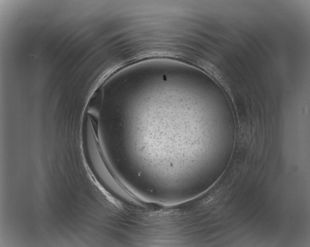 X0000062790898200512290219