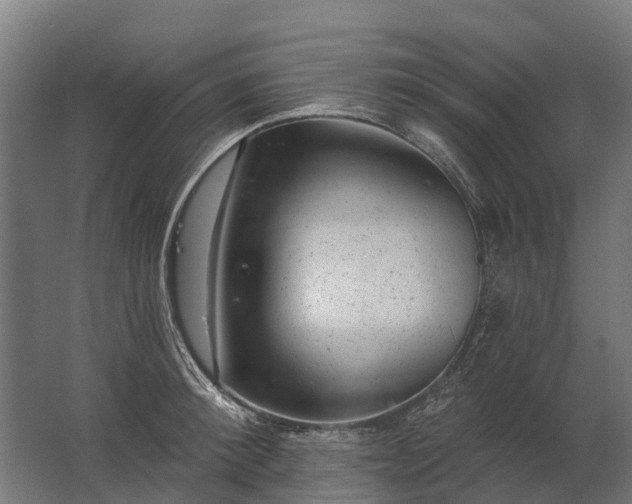 X0000062790900200512290219