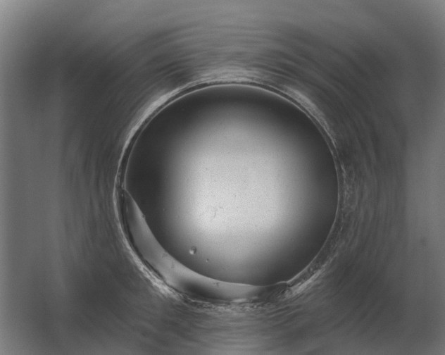 X0000062790901200512290219