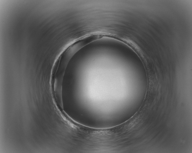 X0000062790902200512290219