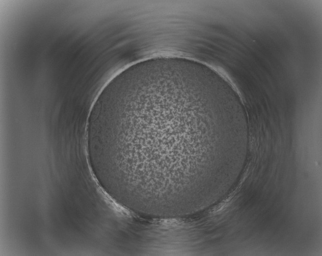 X0000062790903200512290219