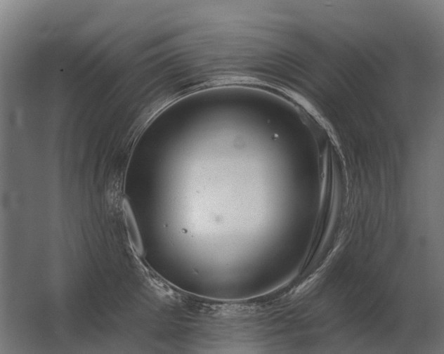 X0000062790905200512290219