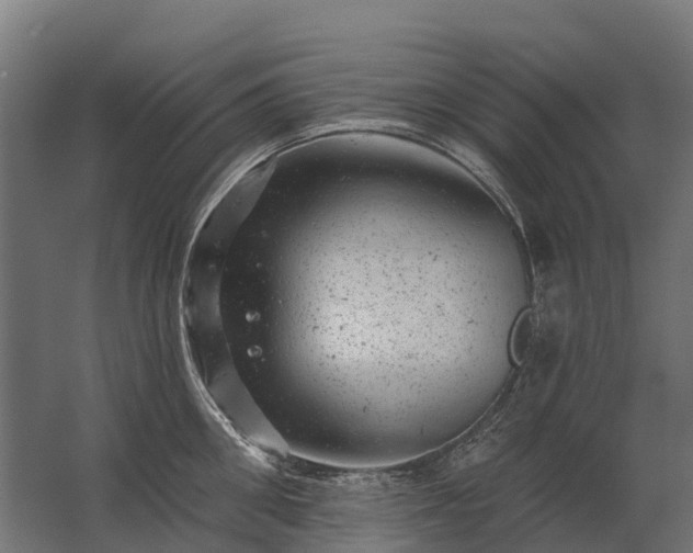 X0000062790906200512290219