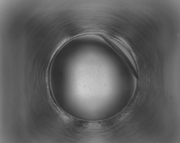 X0000062790907200512290219