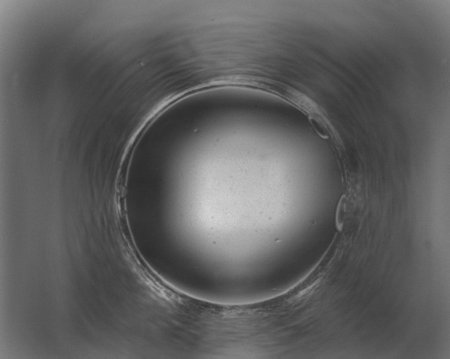 X0000062790908200512290219