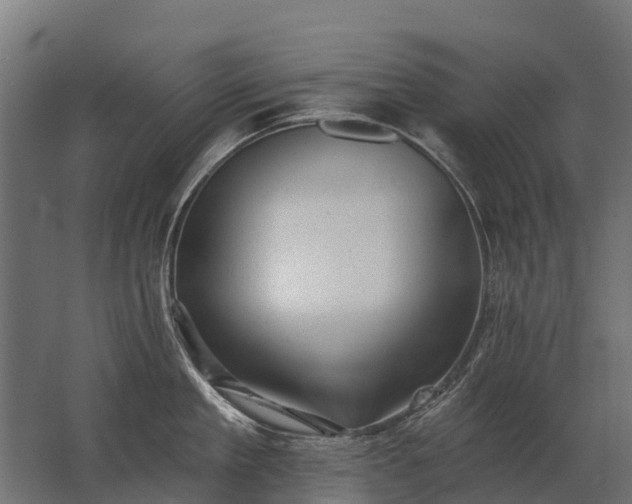 X0000062790909200512290219