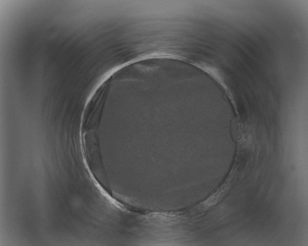 X0000062790910200512290219