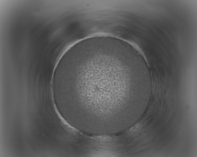 X0000062790911200512290219