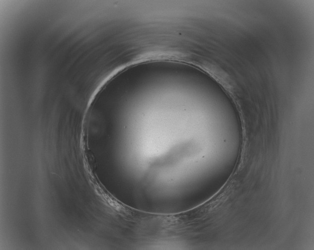 X0000062790912200512290219