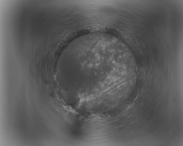 X0000062790913200512290218