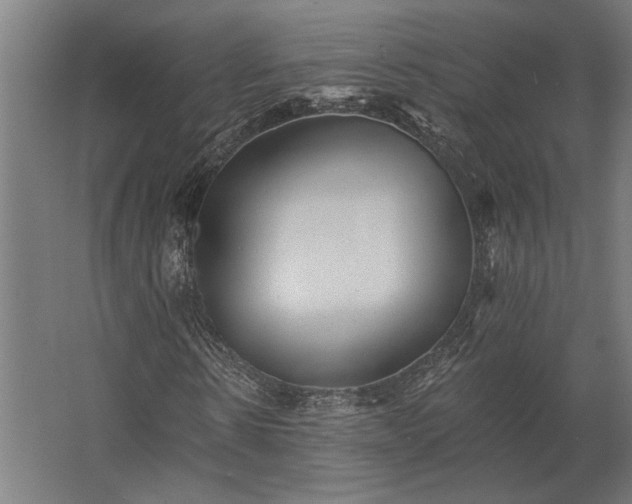 X0000062790914200512290218