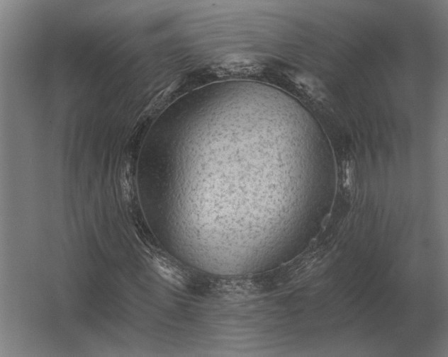 X0000062790915200512290218