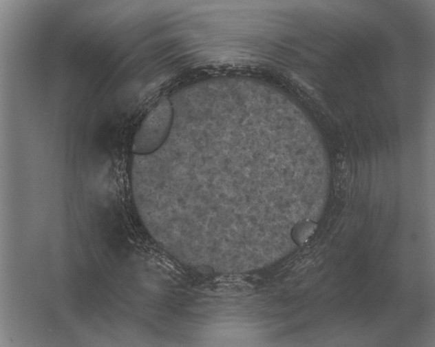 X0000062790918200512290218