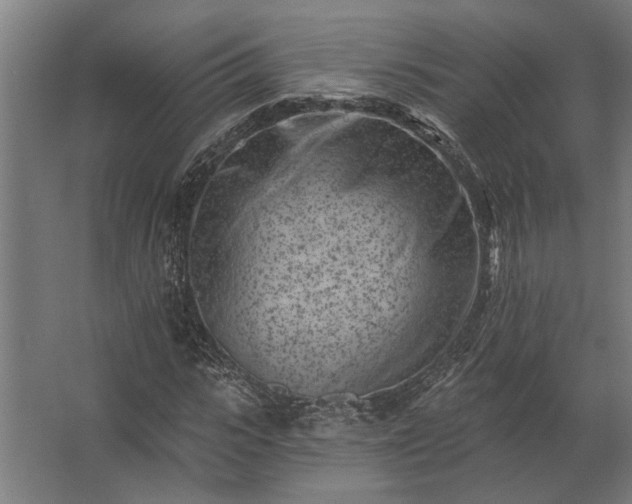 X0000062790919200512290218