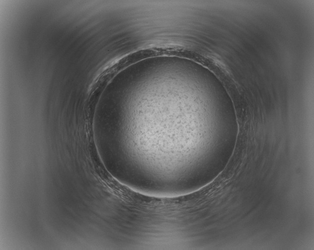 X0000062790920200512290218