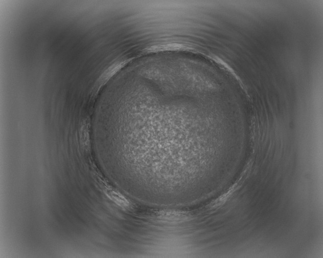 X0000062790921200512290219