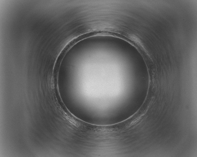 X0000062790924200512290219