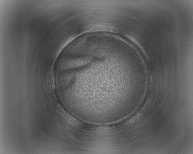 X0000062790925200512290219